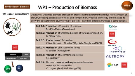 WP1 - Production de biomasse
